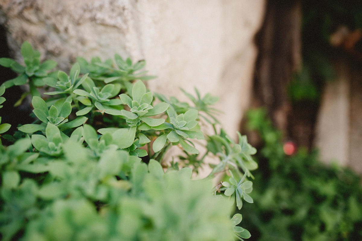 boda_finca_molino_rosales_boda_hipster_guadalajara_00013